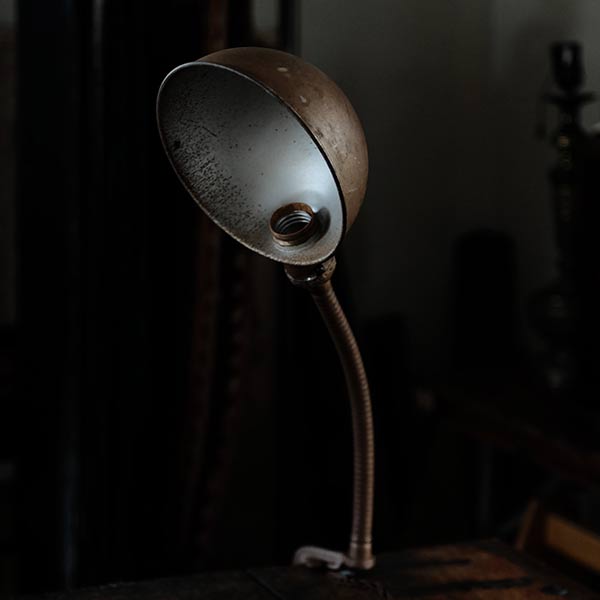 Rodale Gooseneck Desk Lamp with Clamp