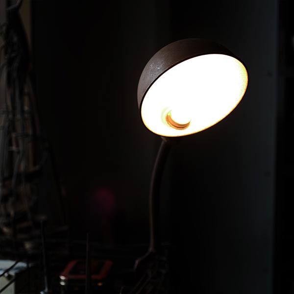 Rodale Gooseneck Desk Lamp with Clamp