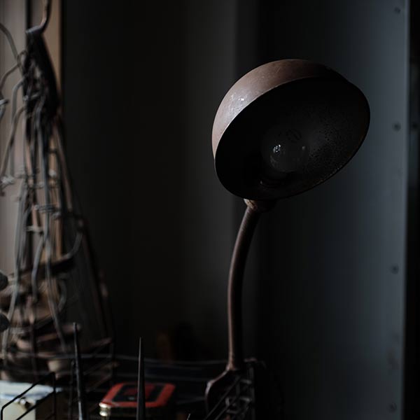 Rodale Gooseneck Desk Lamp with Clamp