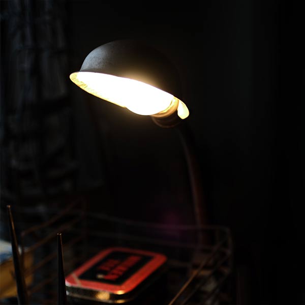 Gooseneck Clip-on Desk Lamp