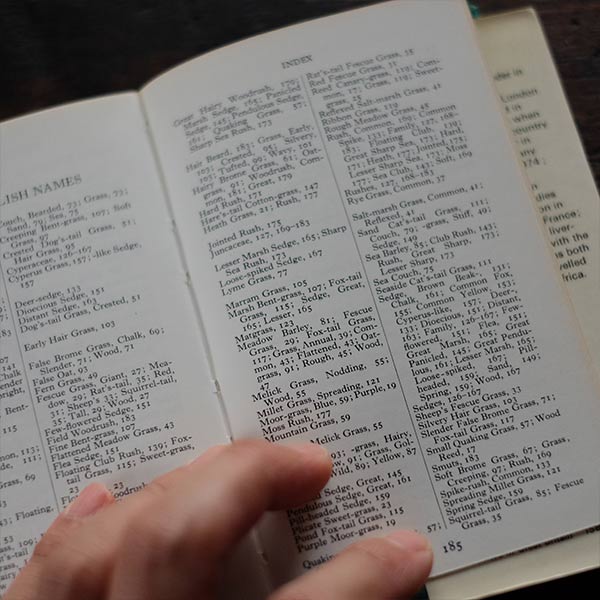 The Observer's Book of GRASSES