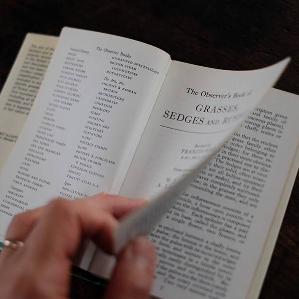 The Observer's Book of GRASSES