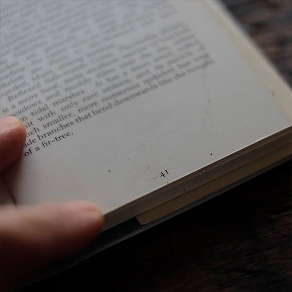 The Observer's Book of GRASSES