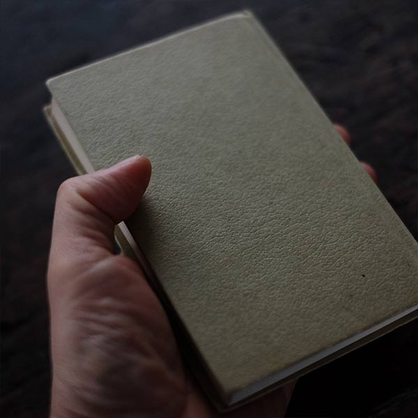 The Observer's Book of HORSES AND PONIES