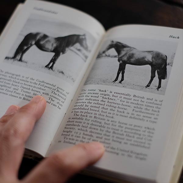 The Observer's Book of HORSES AND PONIES