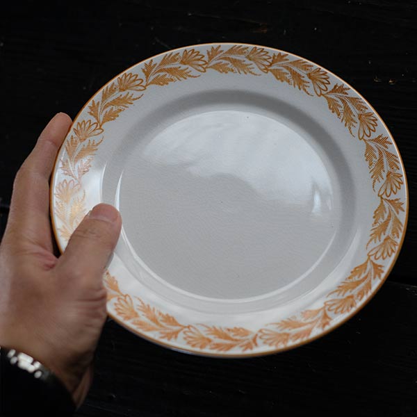 Imperial Ironstone (Japanese hardware) Plate with Grass Design, φ20cm