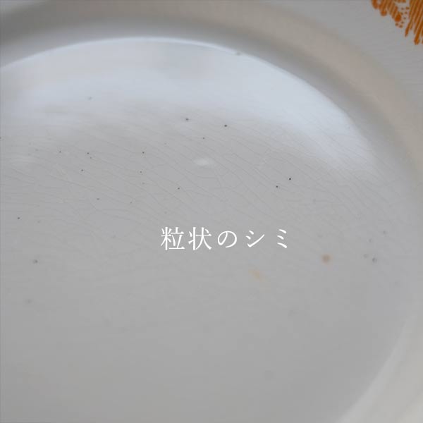 Imperial Ironstone (Japanese hardware) Plate with Grass Design, φ20cm