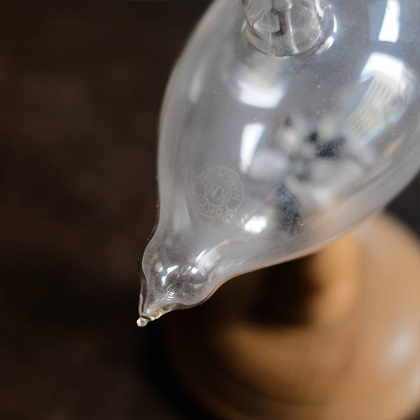 電極を繋いで何かする実験器具