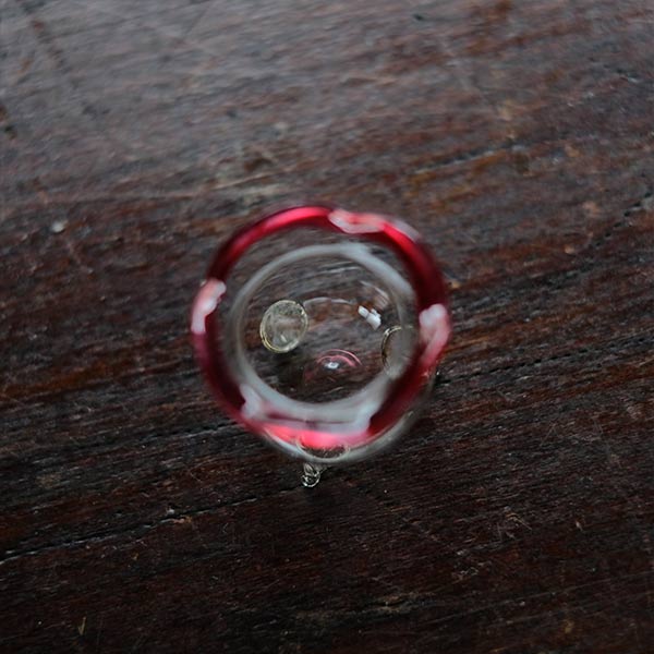 tiny goldfish bowl