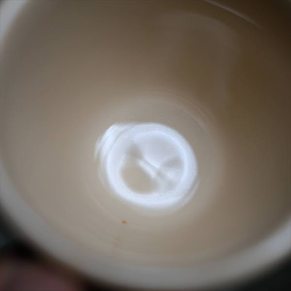 Shenango 'Nestle' Mug
