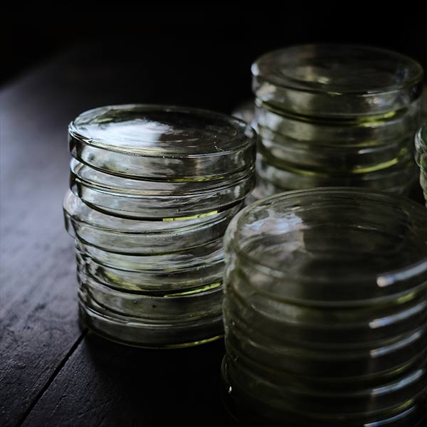 A yellowish-green, swaying glass petri dish