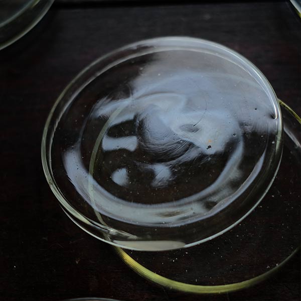 A yellowish-green, swaying glass petri dish