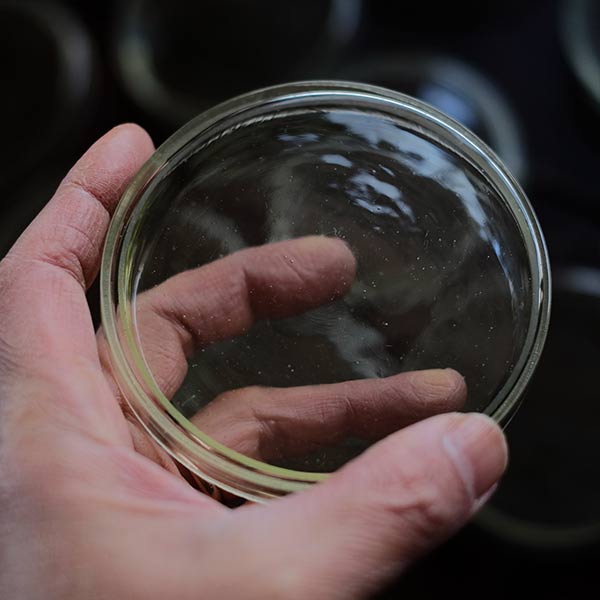 A yellowish-green, swaying glass petri dish