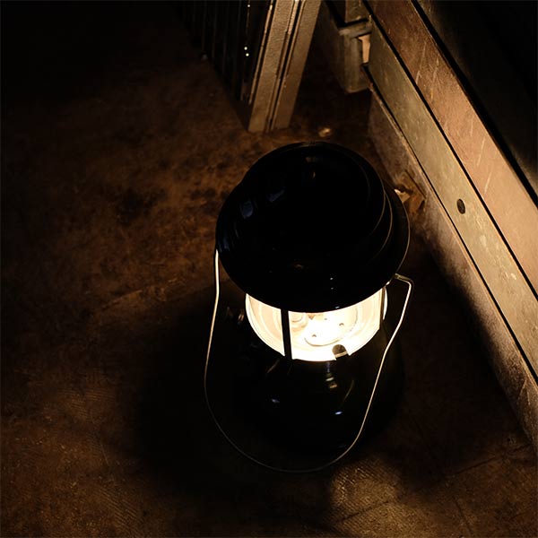 Sears Coleman 2-Mantle Lantern, 1975