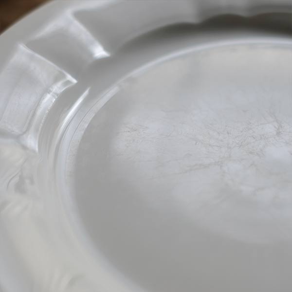 Seltmann Weiden Plate φ24cm