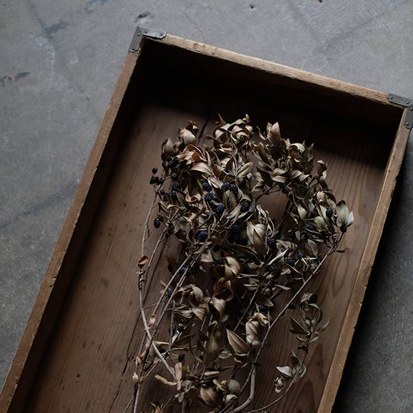 Japanese sweets shop food box