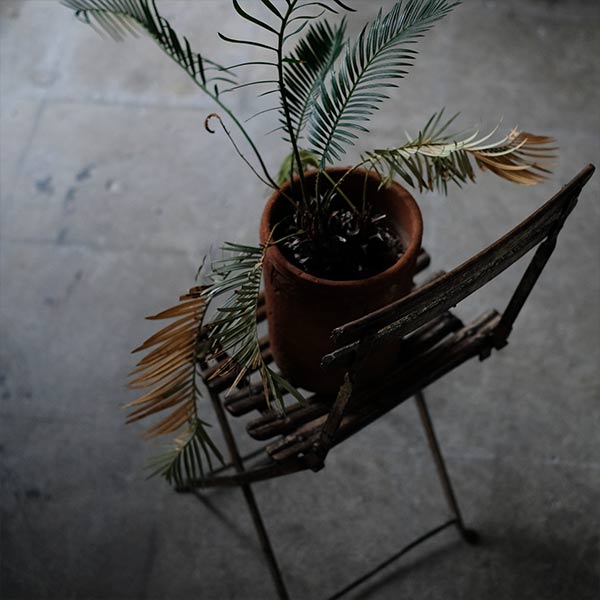 Gorgeous folding chair