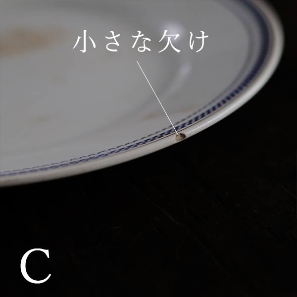 SPMC IRONSTONE Plate with Patterned Rim φ23.5cm