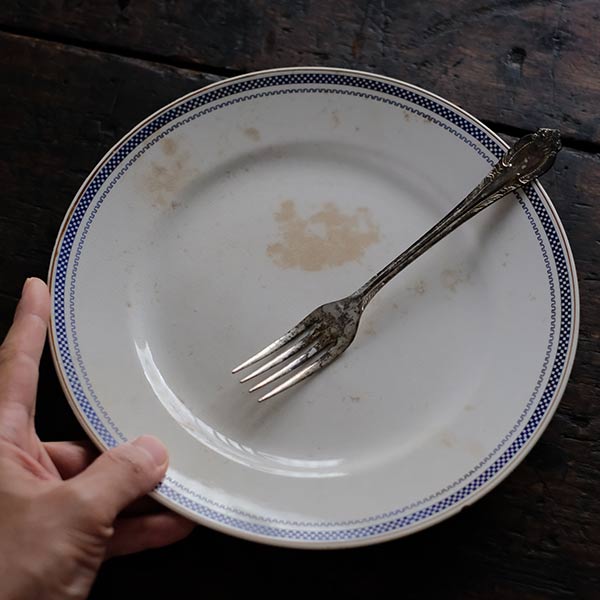 SPMC IRONSTONE Plate with Patterned Rim φ23.5cm