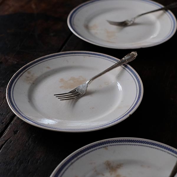 SPMC IRONSTONE Plate with Patterned Rim φ23.5cm
