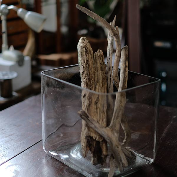 四角いガラスの水槽