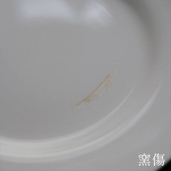 TNT IRONSTONE medium plate φ20.5cm