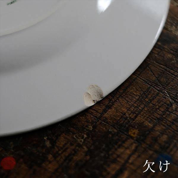 TNT IRONSTONE medium plate φ20.5cm