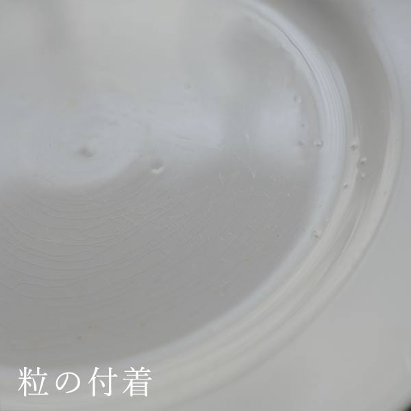 TNT IRONSTONE medium plate φ20.5cm