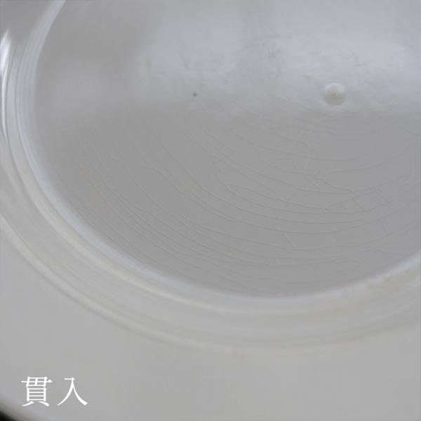 TNT IRONSTONE medium plate φ20.5cm