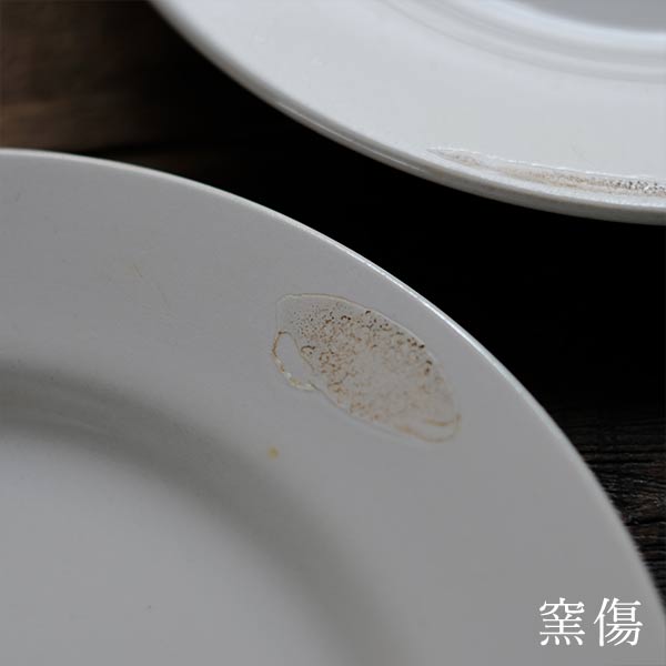 TNT IRONSTONE medium plate φ20.5cm