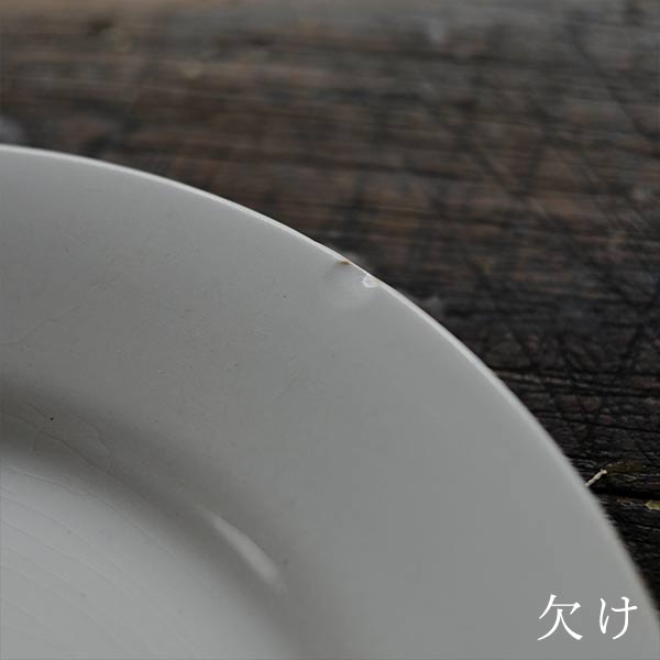 TNT IRONSTONE Large Plate φ23cm