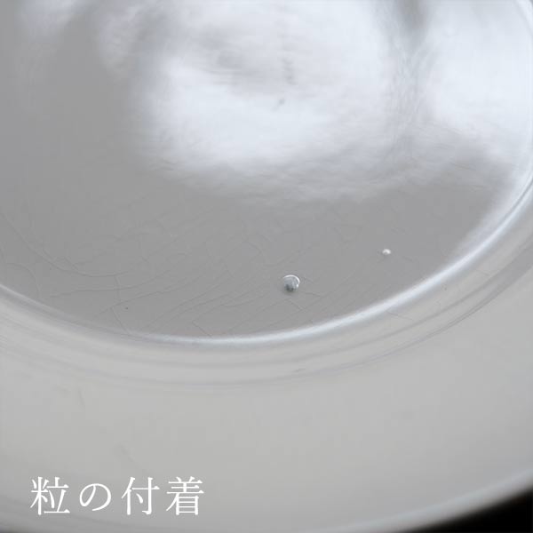 TNT IRONSTONE Large Plate φ23cm