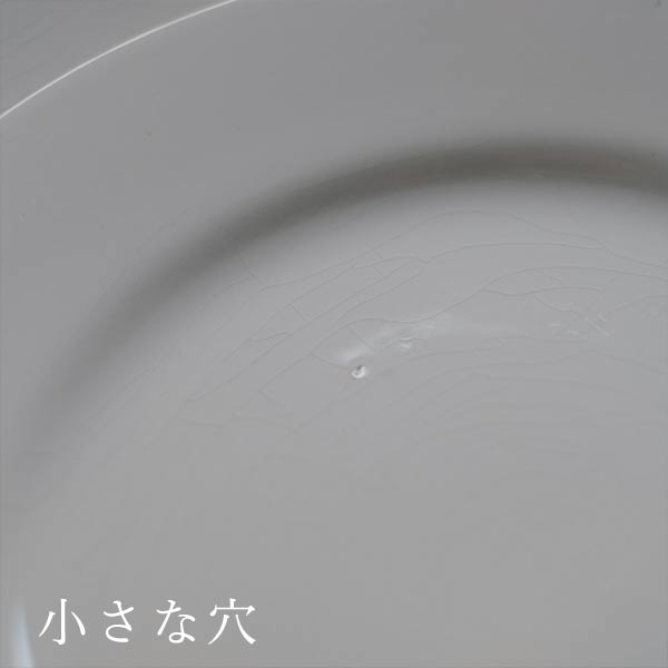 TNT IRONSTONE Large Plate φ23cm