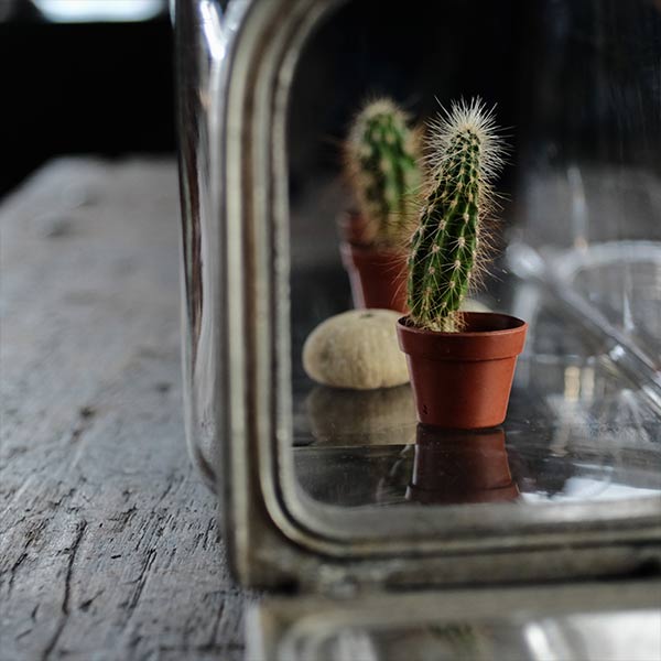 Tobacco shop jar with lid
