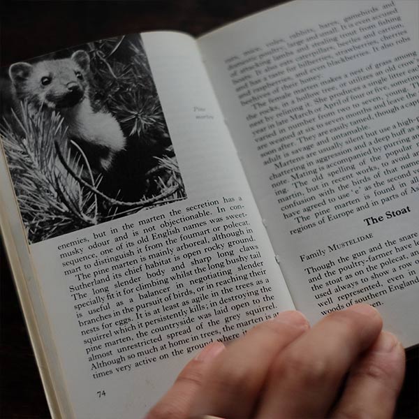The Observer's Book of WILD ANIMALS