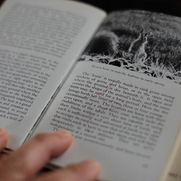 The Observer's Book of WILD ANIMALS