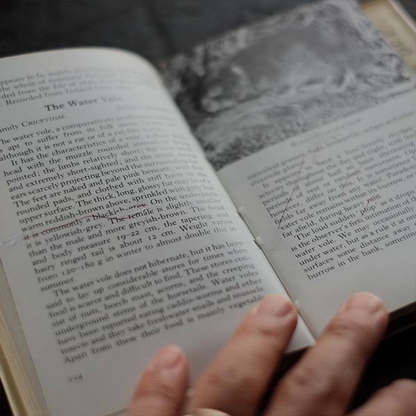 The Observer's Book of WILD ANIMALS