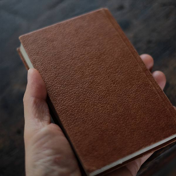 The Observer's Book of WILD ANIMALS