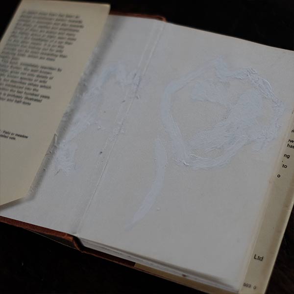 The Observer's Book of WILD ANIMALS