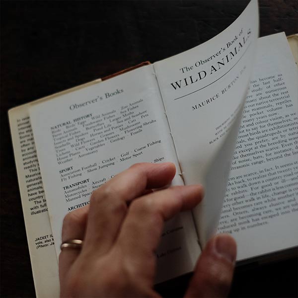 The Observer's Book of WILD ANIMALS