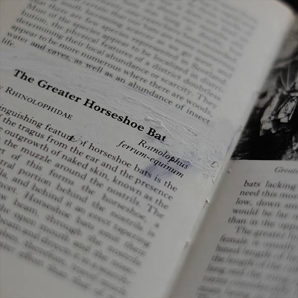 The Observer's Book of WILD ANIMALS