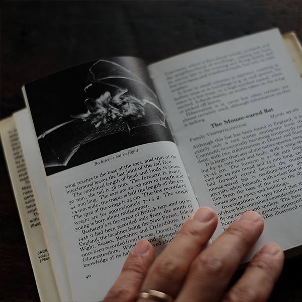 The Observer's Book of WILD ANIMALS