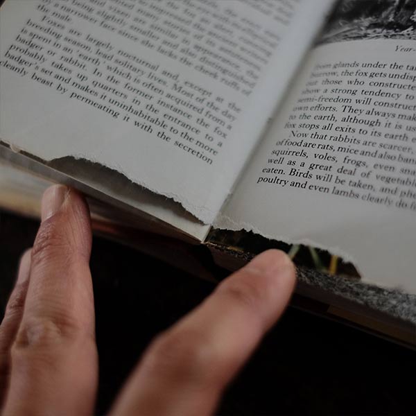 The Observer's Book of WILD ANIMALS