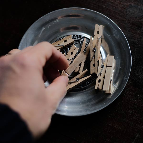 Wilton Columbia 丸皿