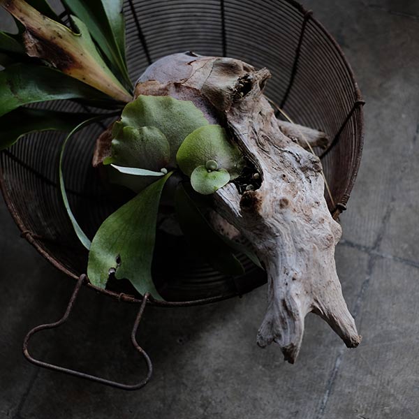 Rusty wire basket φ38cm