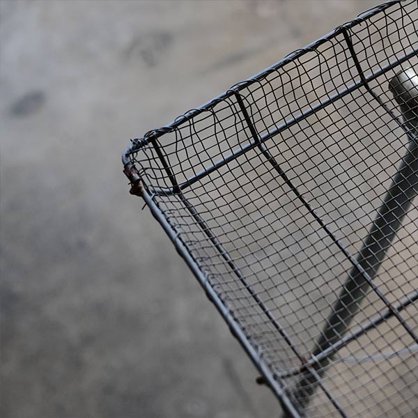 dried fish net