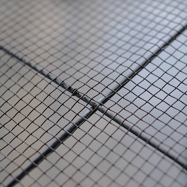 dried fish net