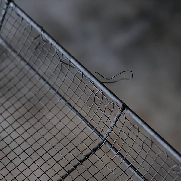 dried fish net