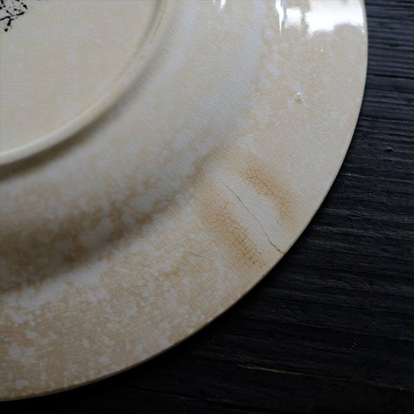 WMC IRONSTONE Plate φ23cm