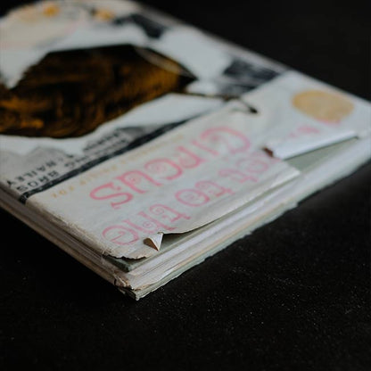 A Ticket to the Circus